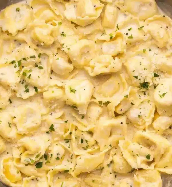 Bowl of creamy cheese tortellini with fresh herbs and parmesan cheese