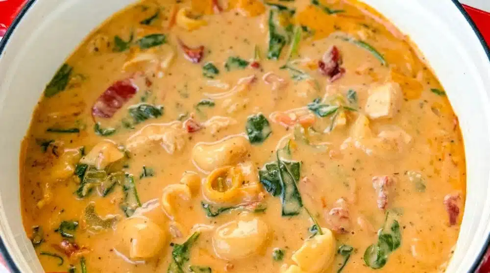 Delicious bowl of Marry Me Tuscan Chicken Soup with tender chicken and fresh herbs